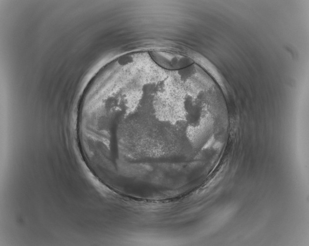 X0000112971099200909171313