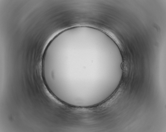 X0000112971100200909171313