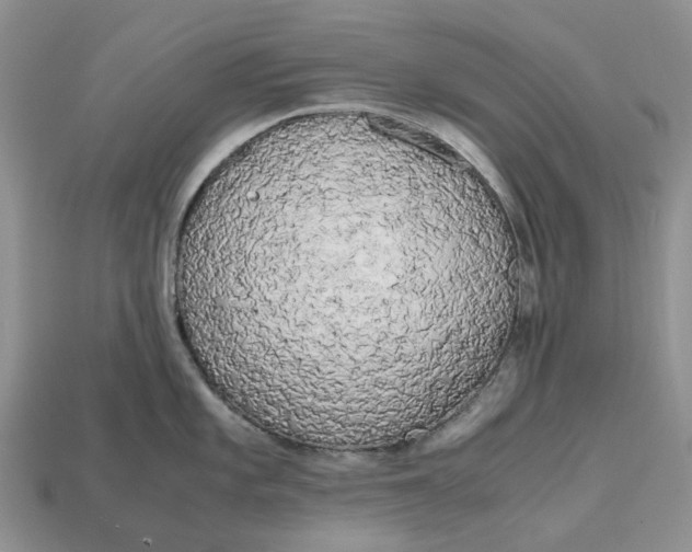 X0000112971101200909171313