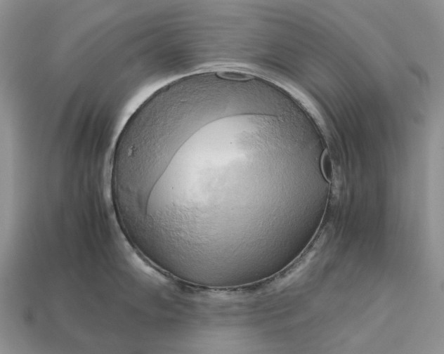 X0000112971102200909171313