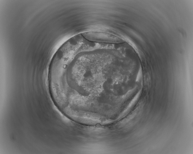 X0000112971103200909171313