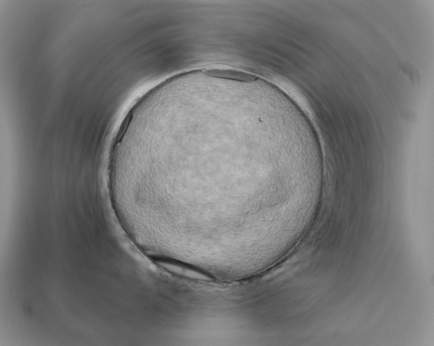 X0000112971104200909171313