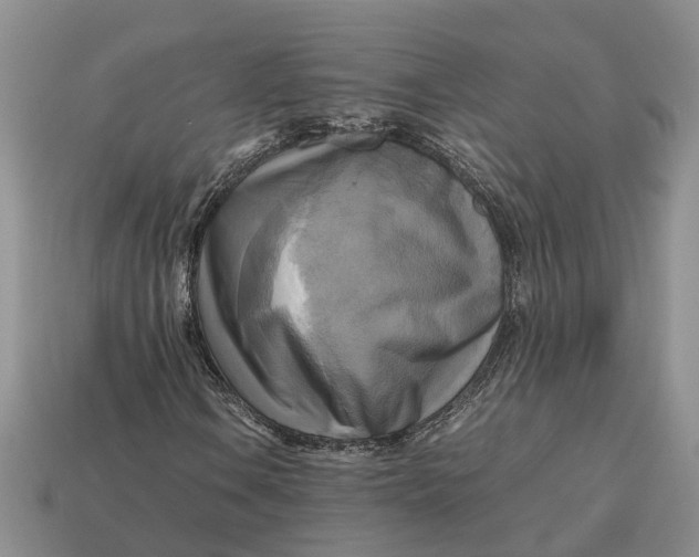 X0000112971106200909171312