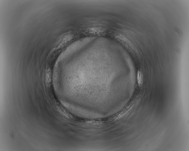 X0000112971107200909171312