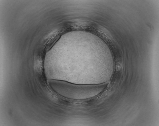 X0000112971108200909171312