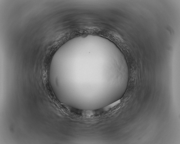 X0000112971109200909171312