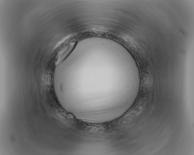 X0000112971110200909171312