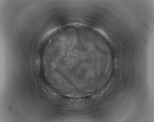 X0000112971111200909171312