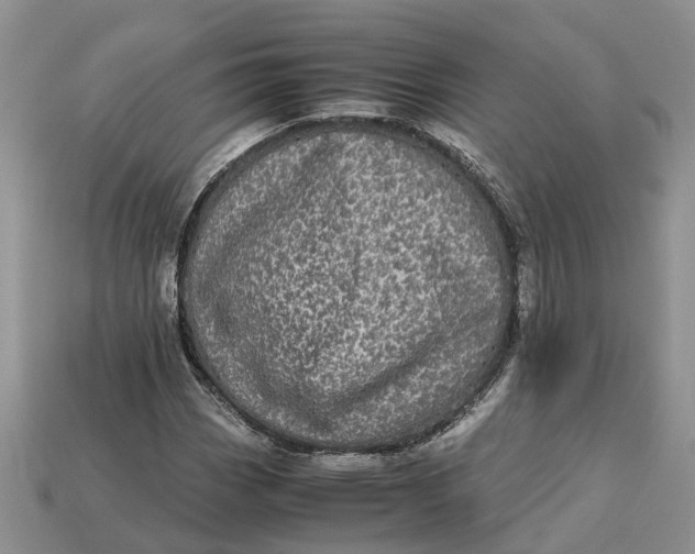 X0000112971113200909171312