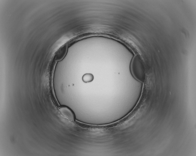 X0000112971114200909171312