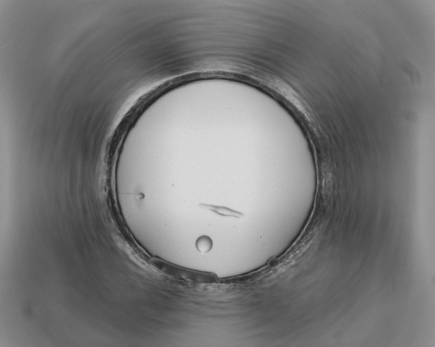 X0000112971116200909171312