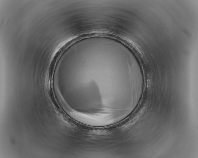 X0000112971117200909171312