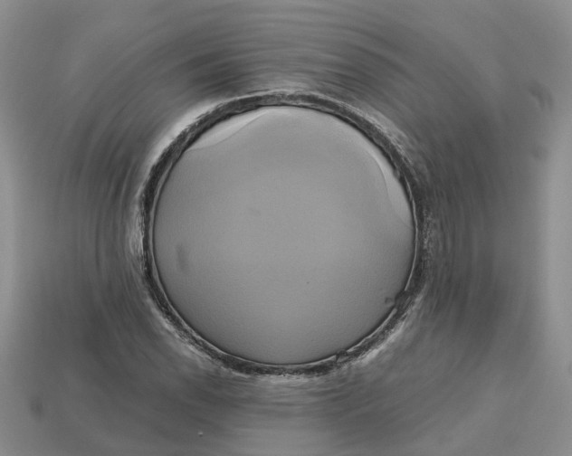 X0000112971118200909171312