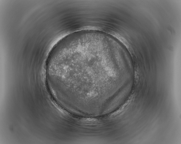 X0000112971119200909171312