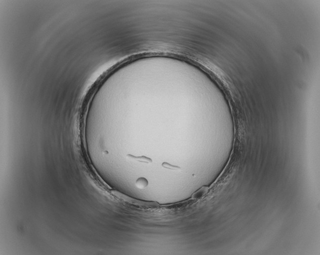 X0000112971120200909171312