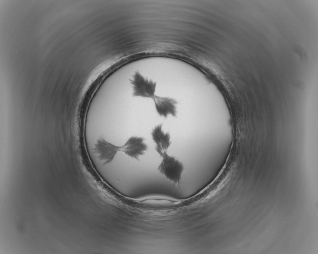 X0000112971122200909171312