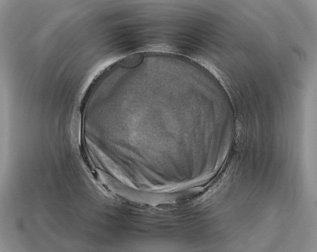 X0000112971123200909171312