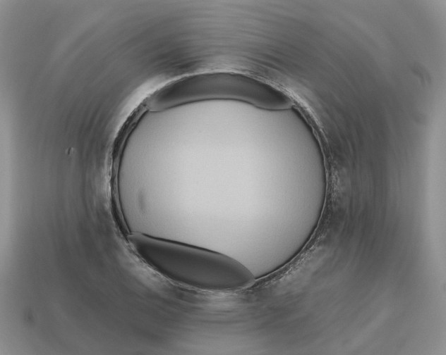 X0000112971124200909171312