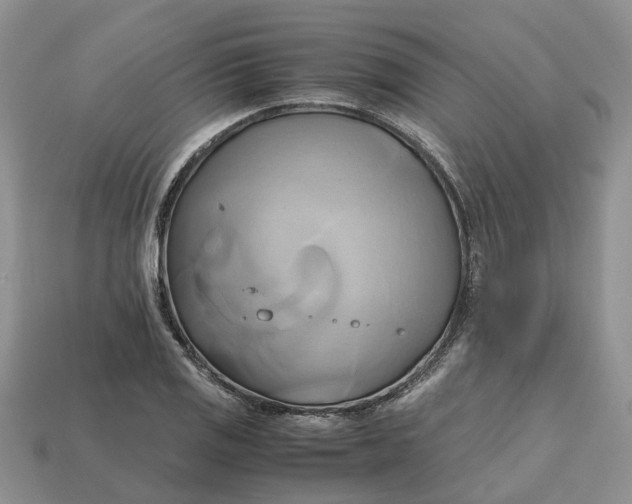 X0000112971125200909171312