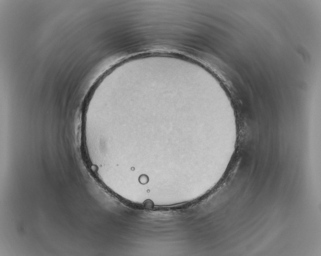 X0000112971126200909171312