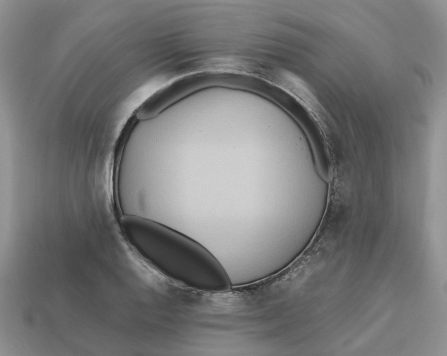 X0000112971128200909171312