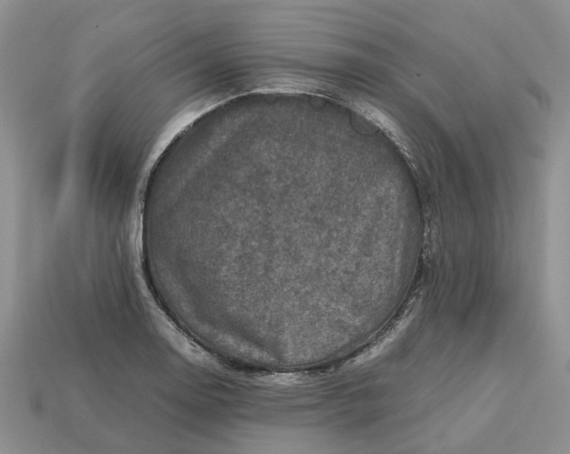 X0000112971130200909171312