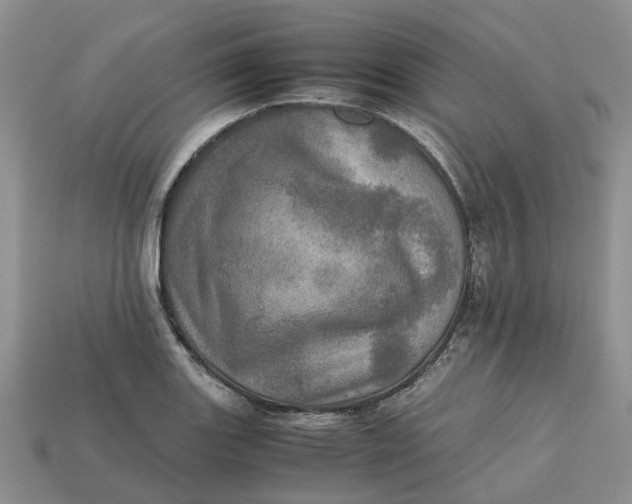 X0000112971131200909171312