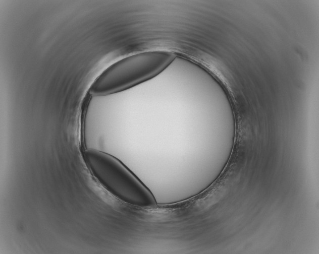 X0000112971132200909171312