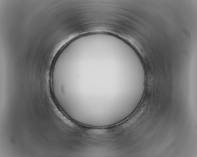 X0000112971134200909171312