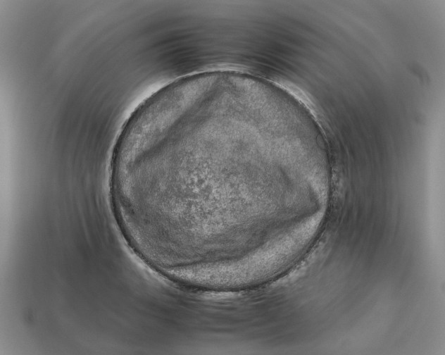 X0000112971135200909171312