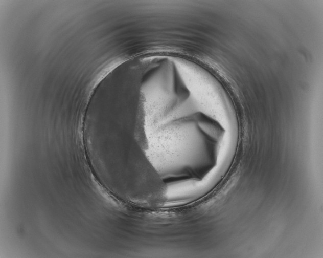 X0000112971137200909171312