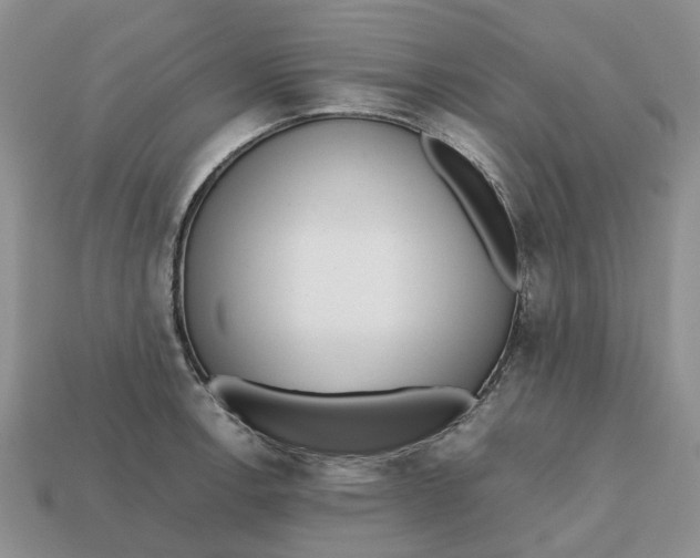 X0000112971138200909171312