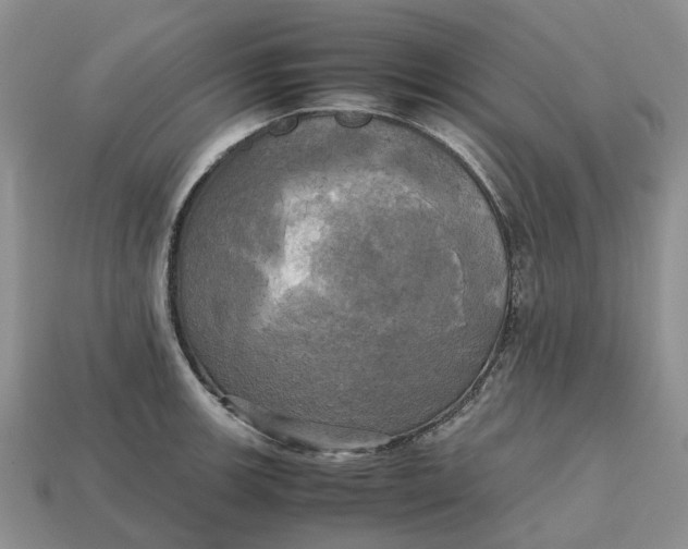 X0000112971139200909171312