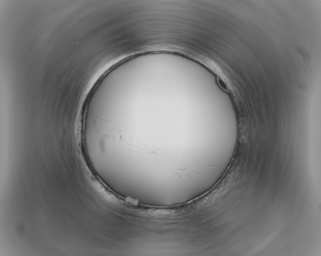 X0000112971140200909171312