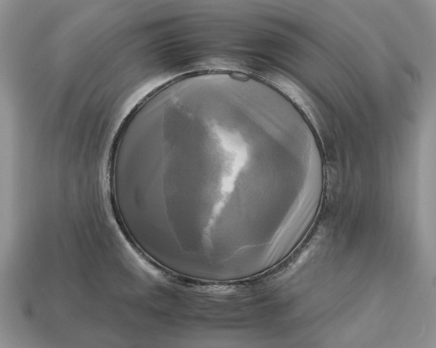 X0000112971141200909171312