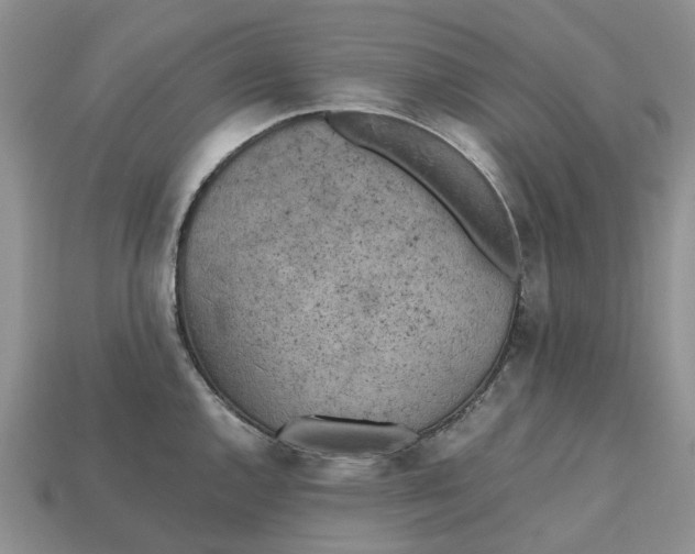 X0000112971144200909171313