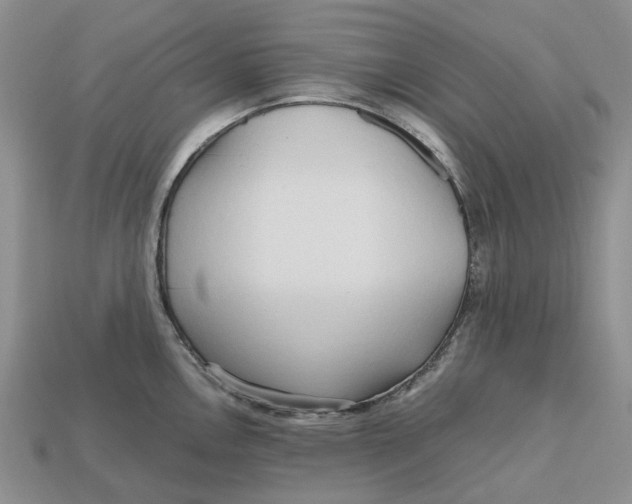 X0000112971146200909171313