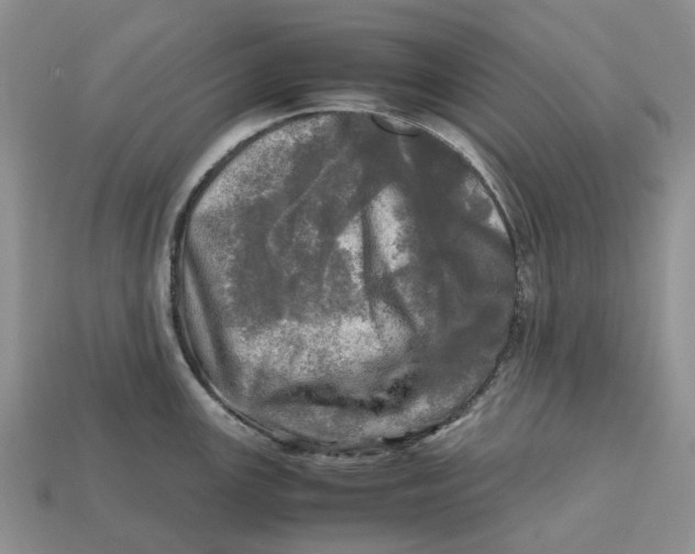 X0000112971147200909171313