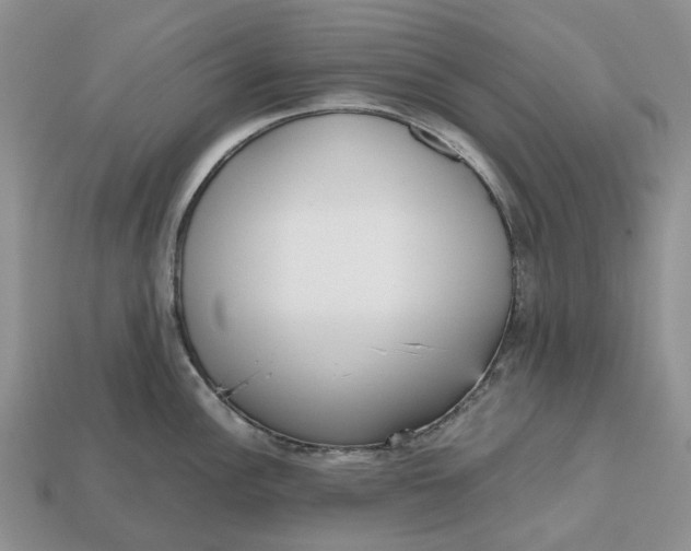 X0000112971148200909171313