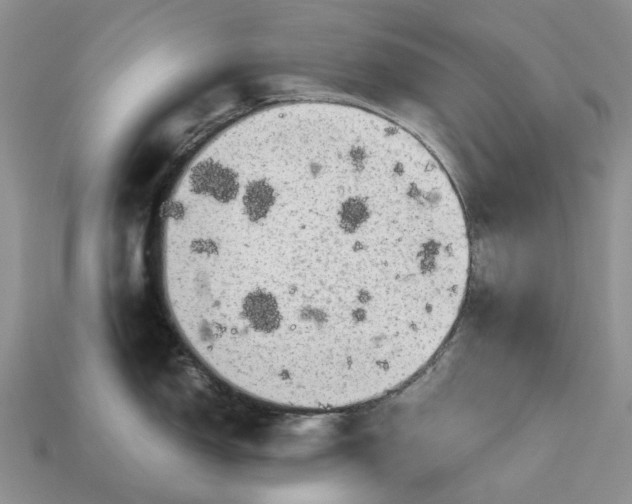 X0000112971150200909171313