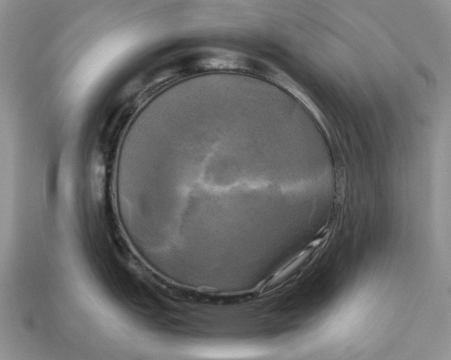 X0000112971151200909171313