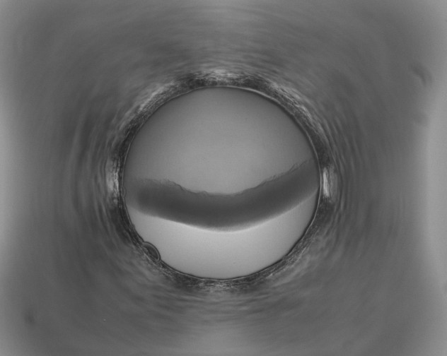 X0000112971155200909171312