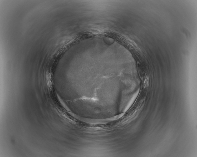 X0000112971156200909171312