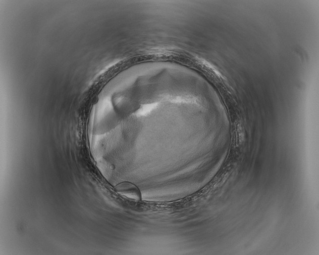 X0000112971158200909171312