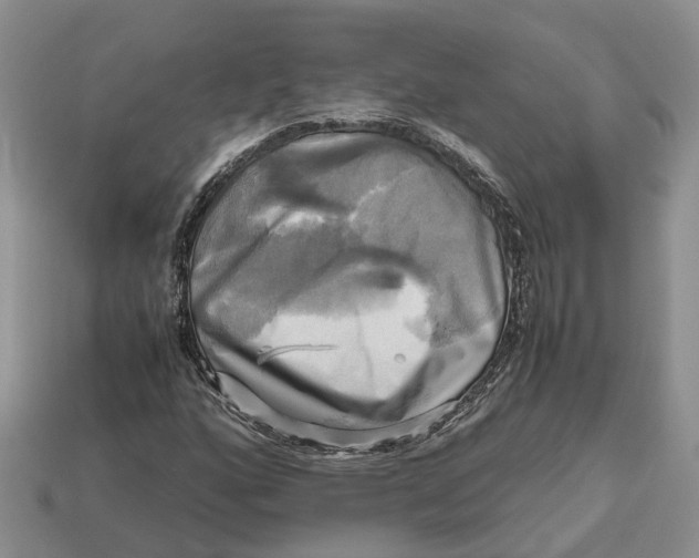 X0000112971160200909171312