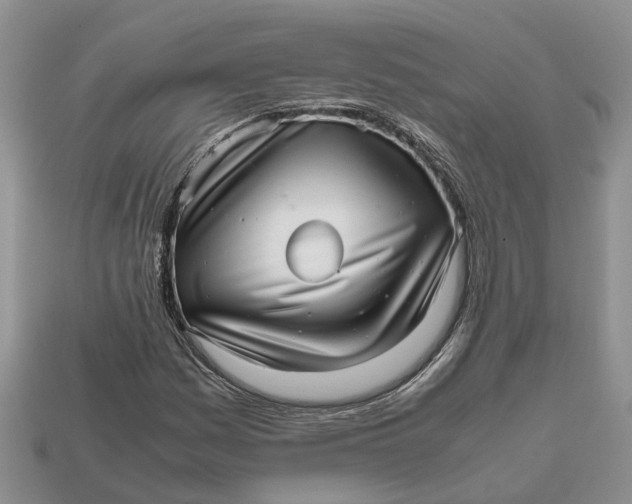 X0000112971161200909171312