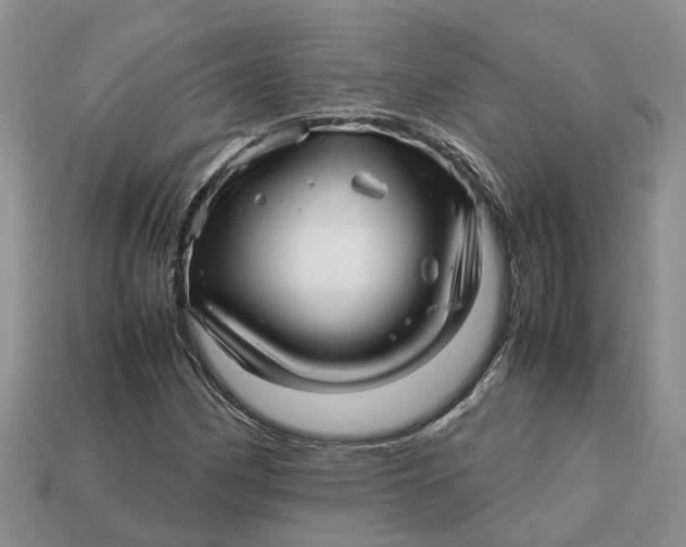 X0000112971162200909171312