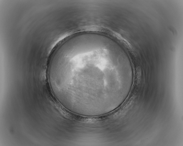 X0000112971166200909171312