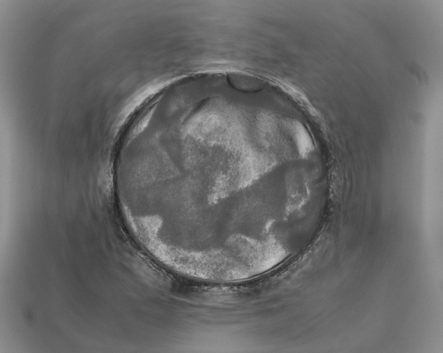 X0000112971167200909171312