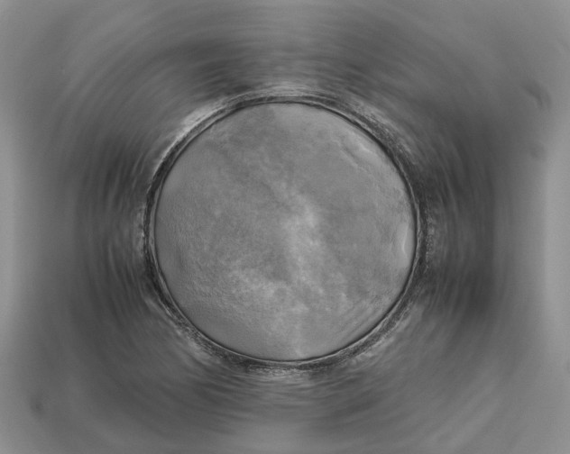 X0000112971170200909171312